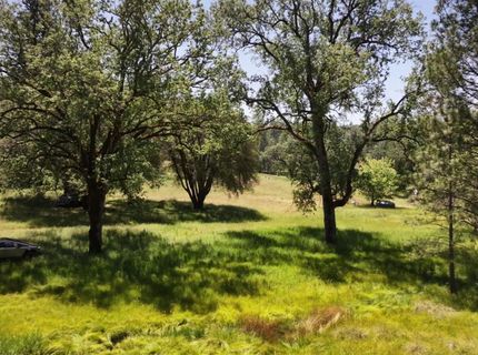 3220 Dawn Rose Ln, Placerville, CA 95667 Photo