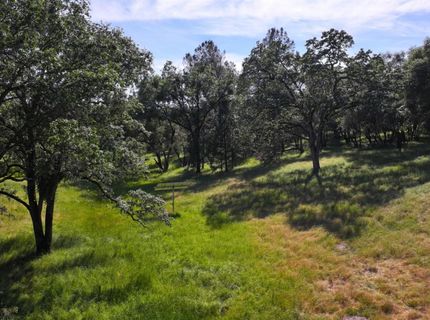 3220 Dawn Rose Ln, Placerville, CA 95667 Photo