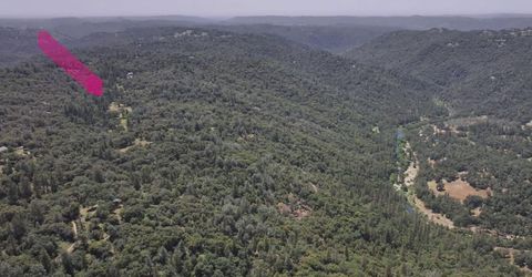 3220 Dawn Rose Ln, Placerville, CA 95667 Photo