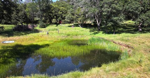 3220 Dawn Rose Ln, Placerville, CA 95667 Photo