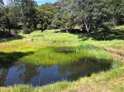 3220 Dawn Rose Ln, Placerville, CA 95667 Photo