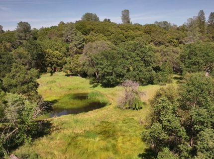 3220 Dawn Rose Ln, Placerville, CA 95667 Photo