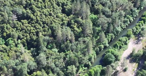 3220 Dawn Rose Ln, Placerville, CA 95667 Photo
