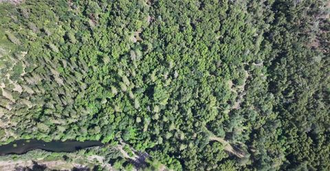 3220 Dawn Rose Ln, Placerville, CA 95667 Photo
