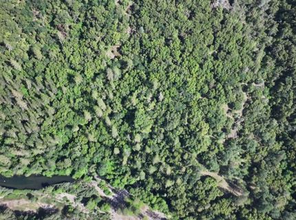 3220 Dawn Rose Ln, Placerville, CA 95667 Photo
