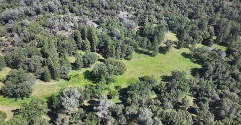 3220 Dawn Rose Ln, Placerville, CA 95667 Photo