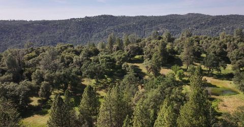 3220 Dawn Rose Ln, Placerville, CA 95667 Photo