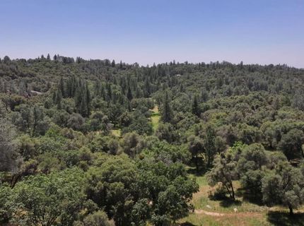 3220 Dawn Rose Ln, Placerville, CA 95667 Photo