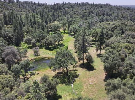 3220 Dawn Rose Ln, Placerville, CA 95667 Photo