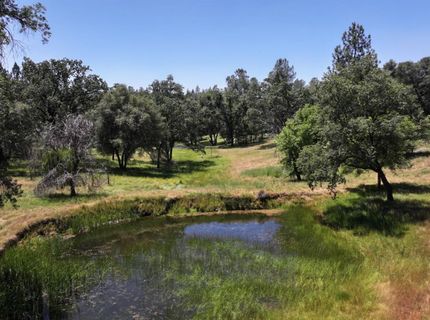3220 Dawn Rose Ln, Placerville, CA 95667 Photo
