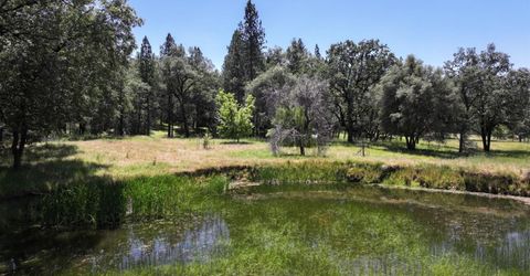 3220 Dawn Rose Ln, Placerville, CA 95667 Photo
