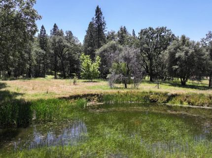 3220 Dawn Rose Ln, Placerville, CA 95667 Photo