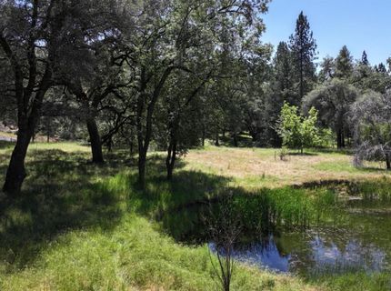 3220 Dawn Rose Ln, Placerville, CA 95667 Photo