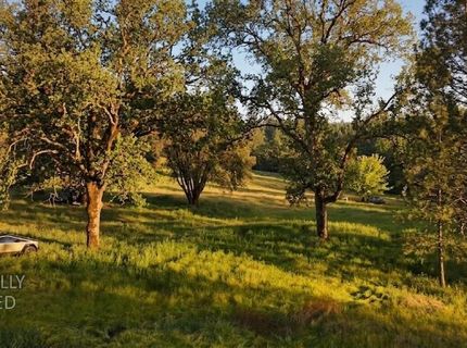 3220 Dawn Rose Ln, Placerville, CA 95667 Photo