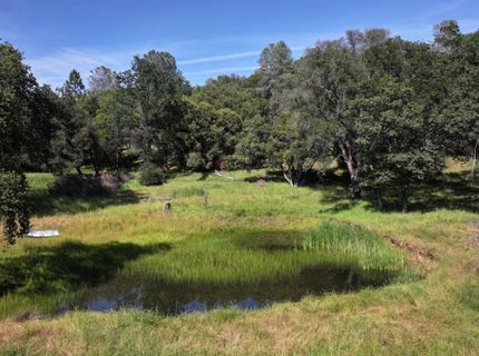 3220 Dawn Rose Ln, Placerville, CA 95667 Photo