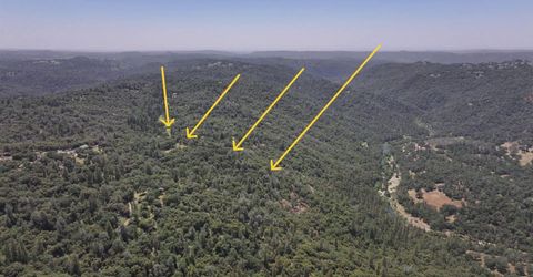 3220 Dawn Rose Ln, Placerville, CA 95667 Photo