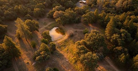 3220 Dawn Rose Ln, Placerville, CA 95667 Photo