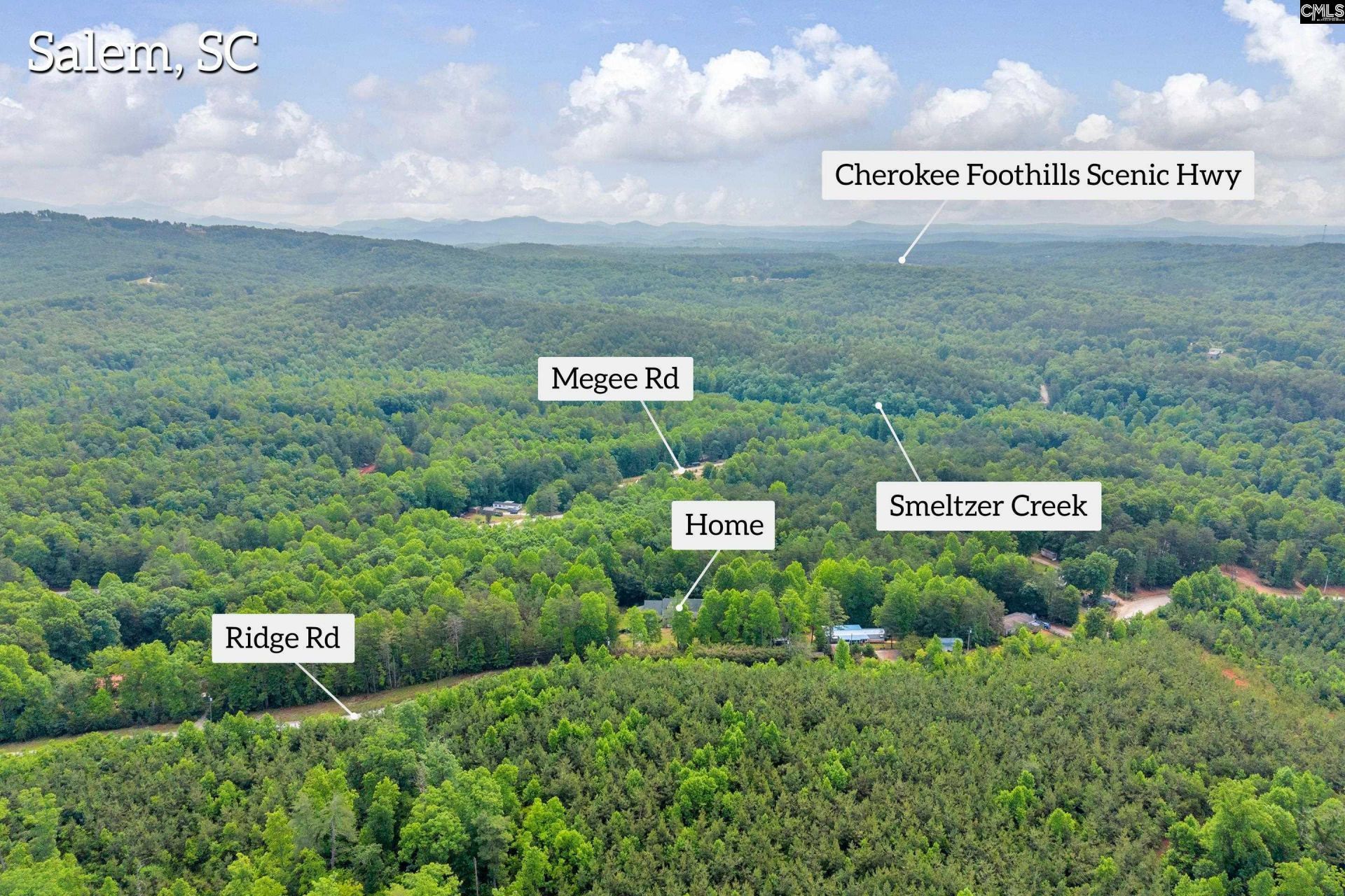 362 Ridge Road Photo 5