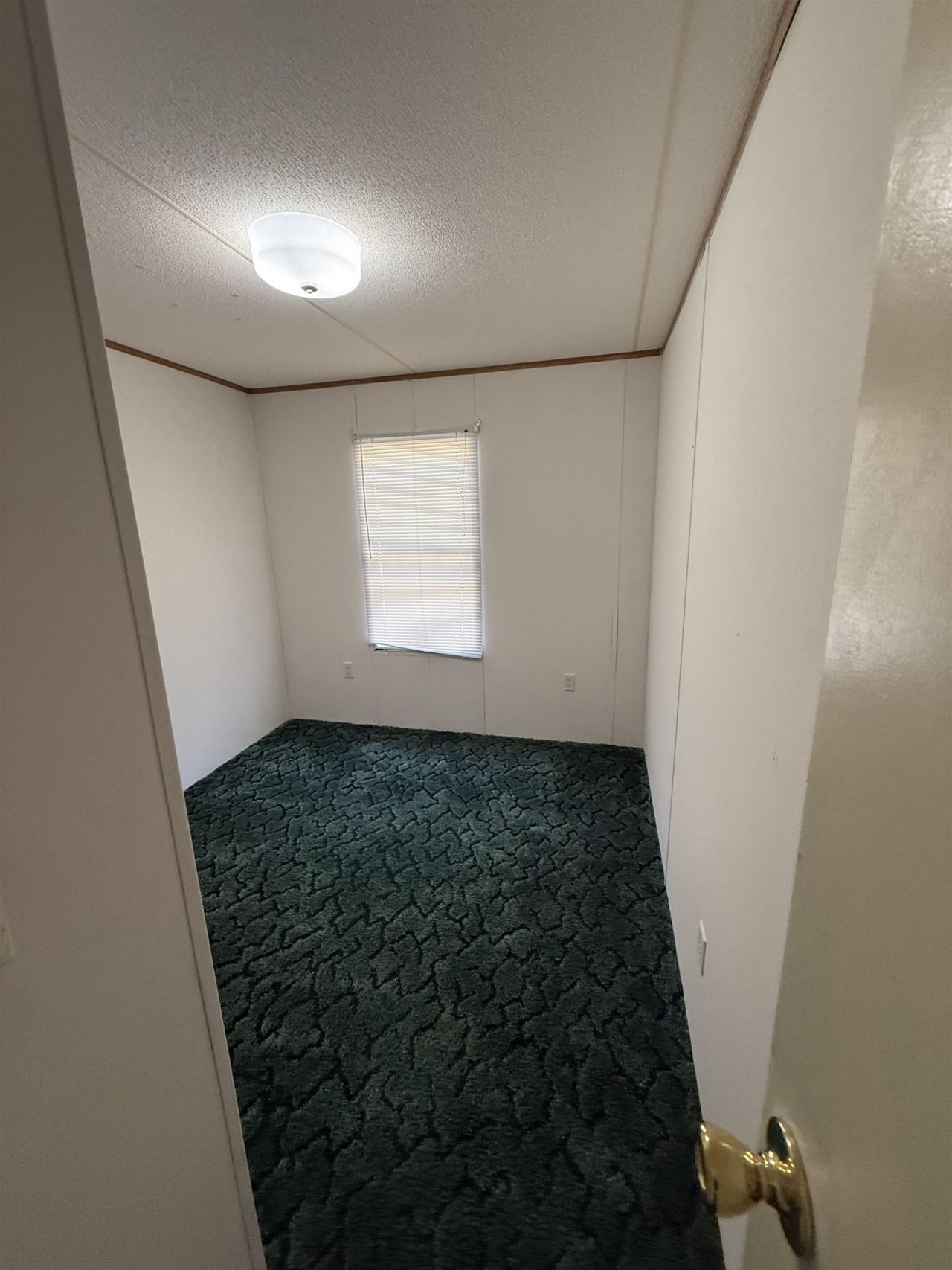 379 Harvest Moon Dr.  Photo 8