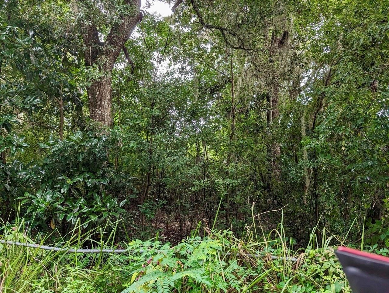 25130 NE 132nd Lane, Salt Springs, FL 32134 Photo