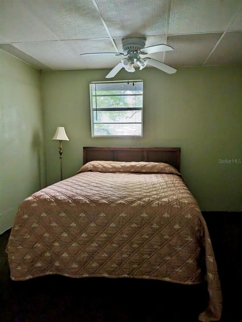 25130 NE 132nd Lane, Salt Springs, FL 32134 Photo