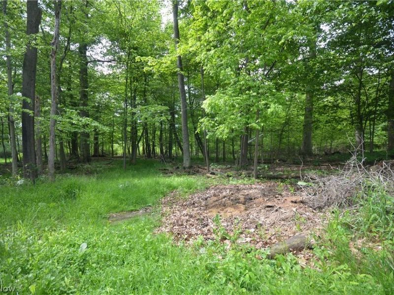 578 Perry Road, Tallmadge, OH 44278 Photo 4
