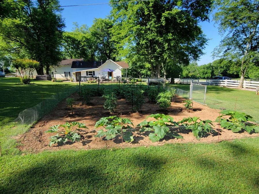 Property Image 88