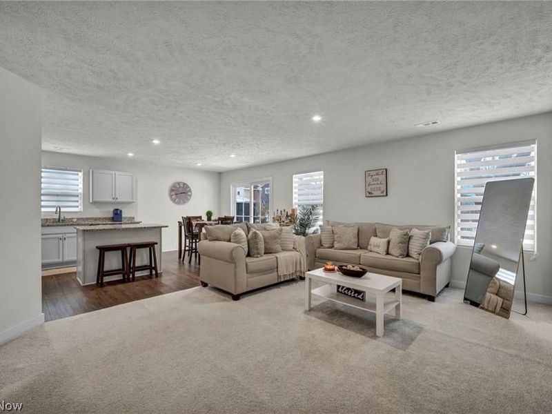 141 W Spring Drive, Elyria, OH 44035 Photo 6