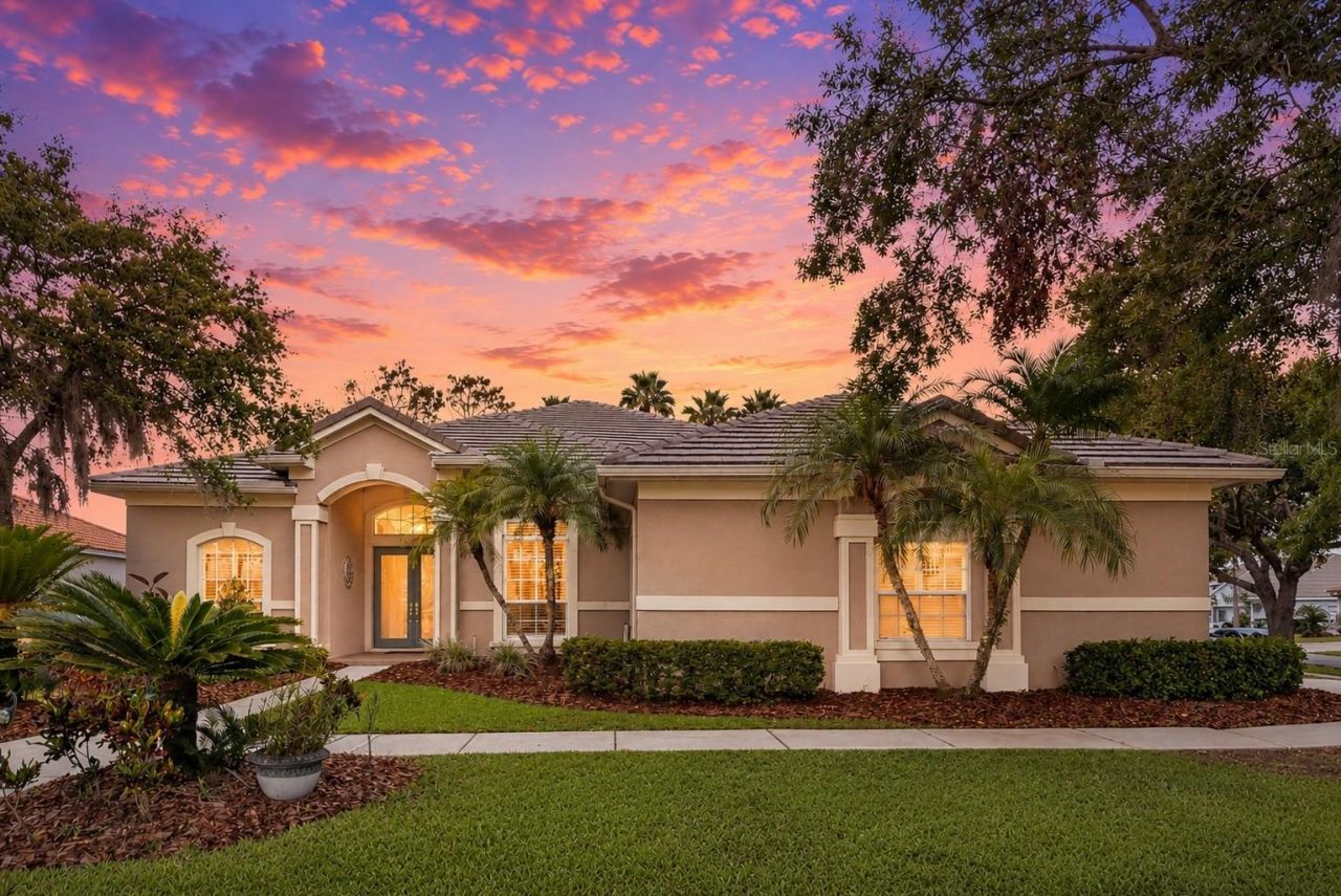10232 Estuary Drive, Tampa, FL 33647 Main Photo