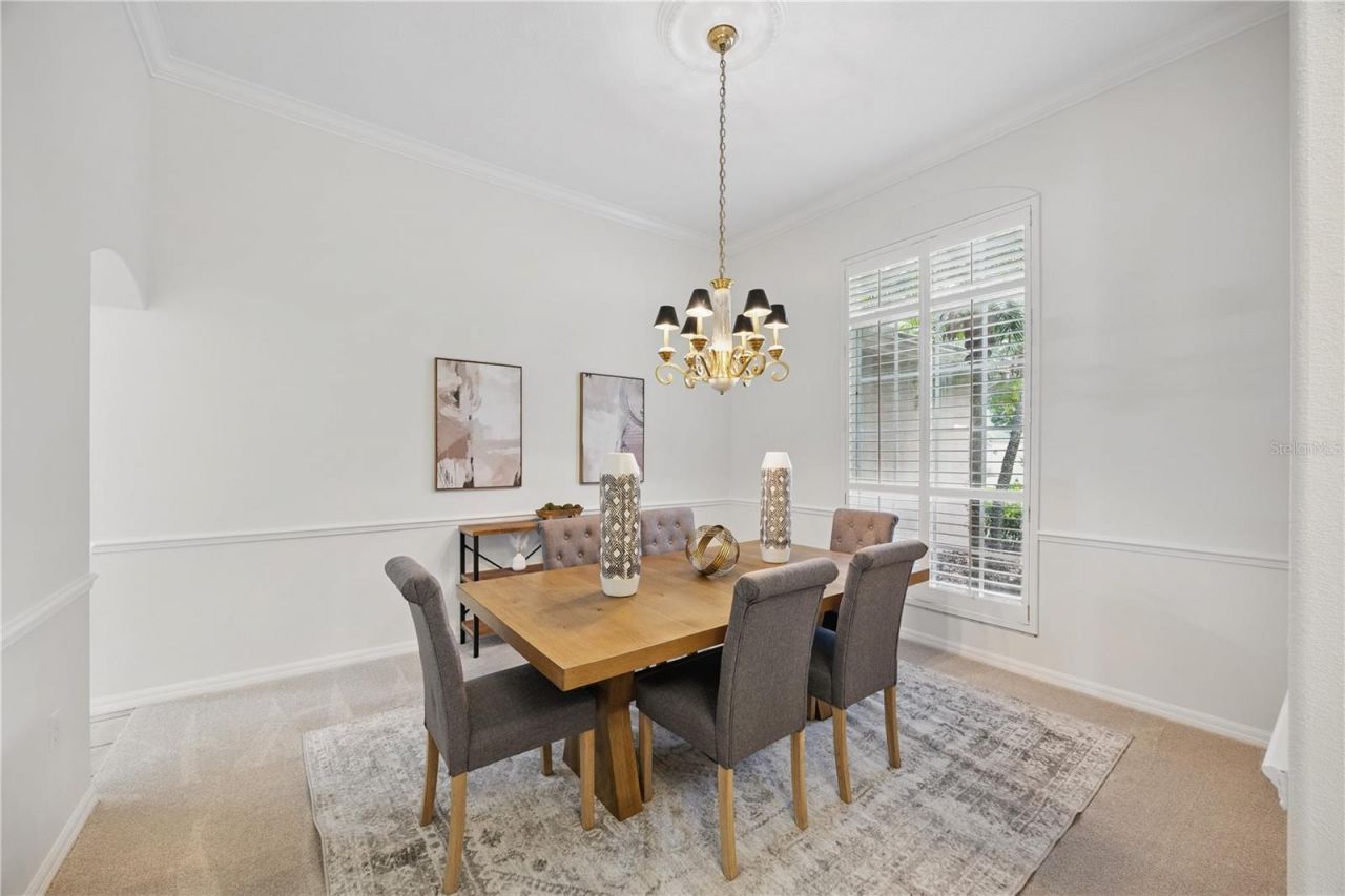 10232 Estuary Drive, Tampa, FL 33647 Photo