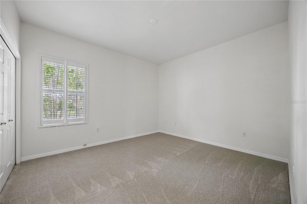 10232 Estuary Drive, Tampa, FL 33647 Photo