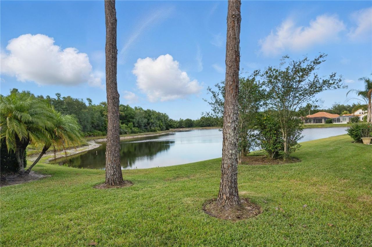 10232 Estuary Drive, Tampa, FL 33647 Photo