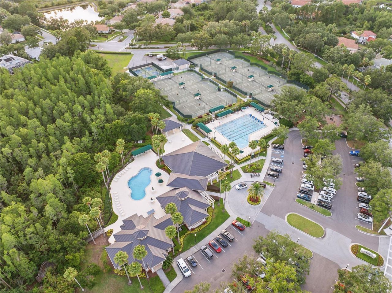 10232 Estuary Drive, Tampa, FL 33647 Photo