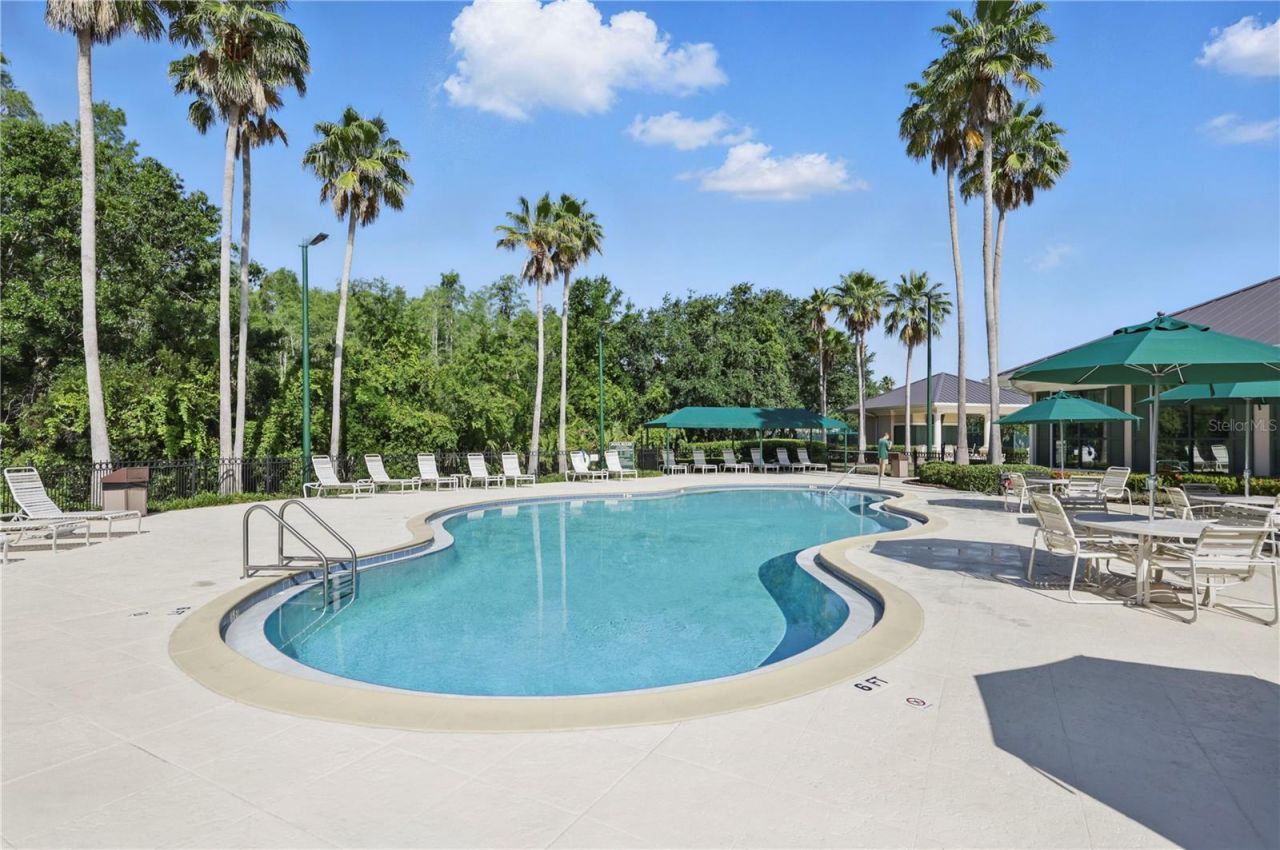 10232 Estuary Drive, Tampa, FL 33647 Photo