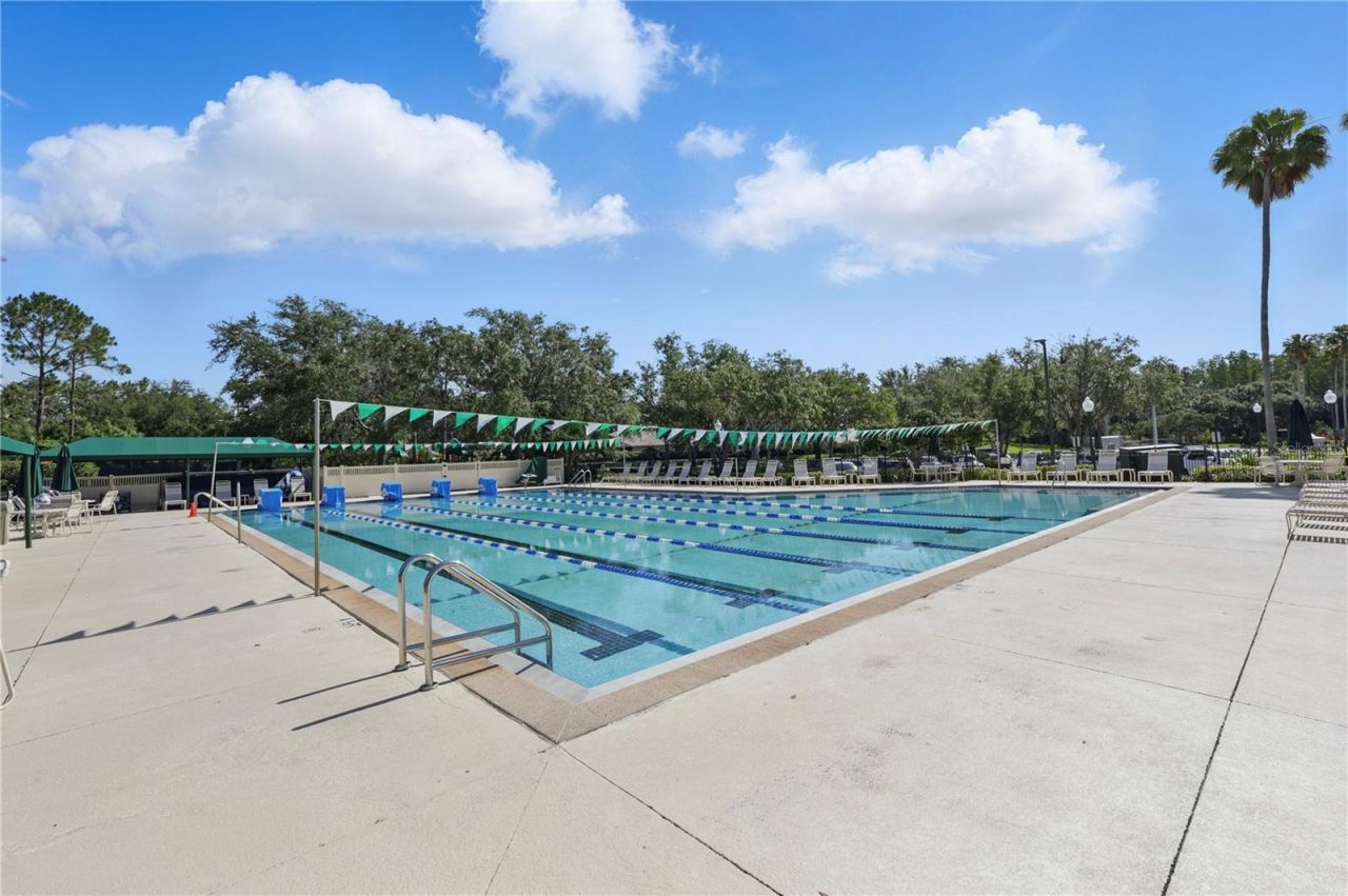 10232 Estuary Drive, Tampa, FL 33647 Photo