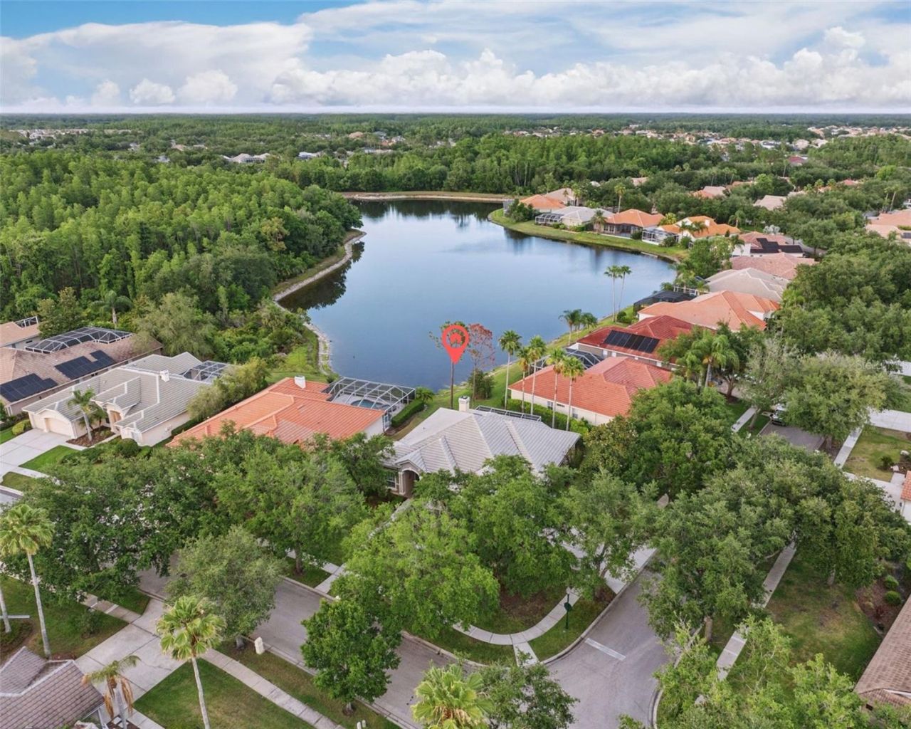 10232 Estuary Drive, Tampa, FL 33647 Photo