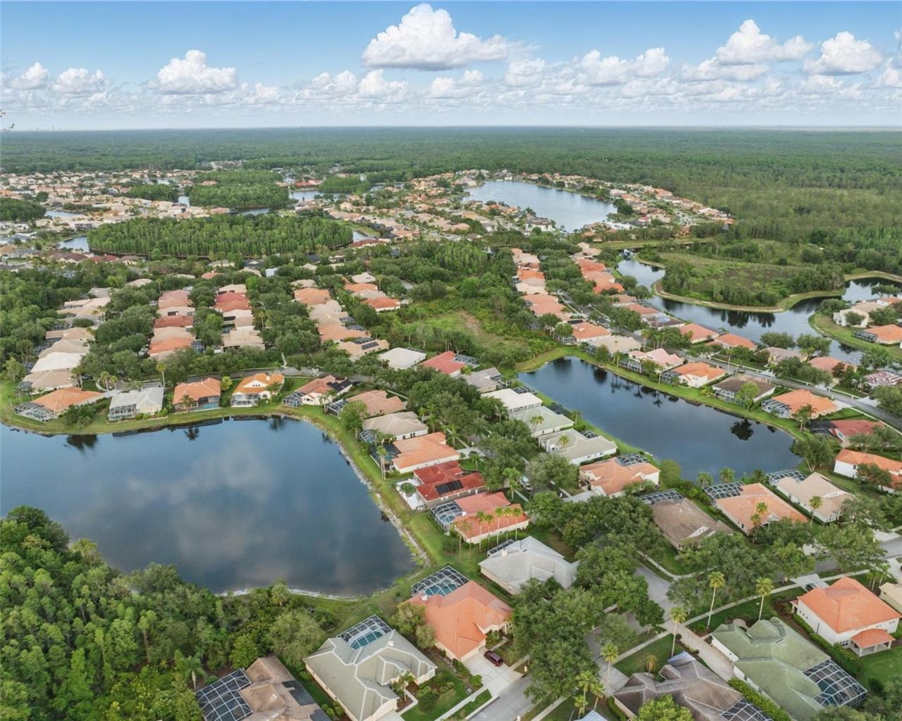 10232 Estuary Drive, Tampa, FL 33647 Photo