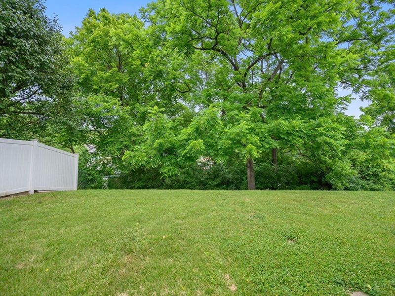 1723 Tuxworth Avenue, Cincinnati, OH 45238 Photo 34