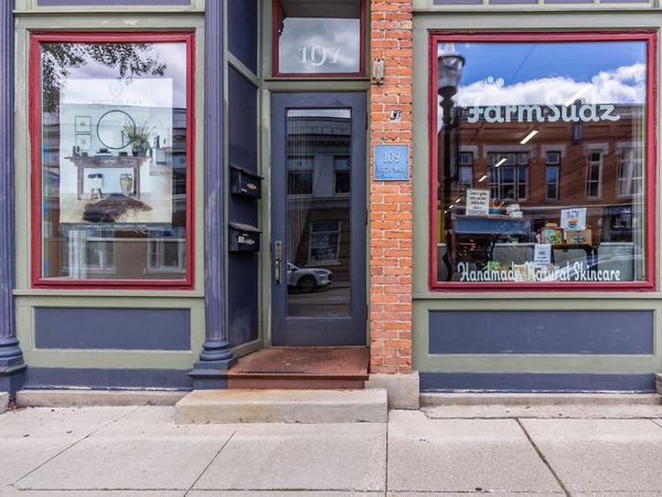 109 S Main Street, Chelsea, MI 48118