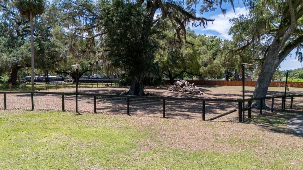 830 NW 111th Lane, Oxford, FL 34484 Photo