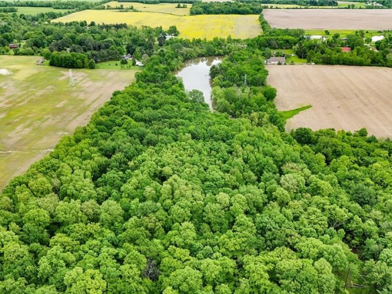 Quarry Road, Wellington, OH 44090 Photo 7
