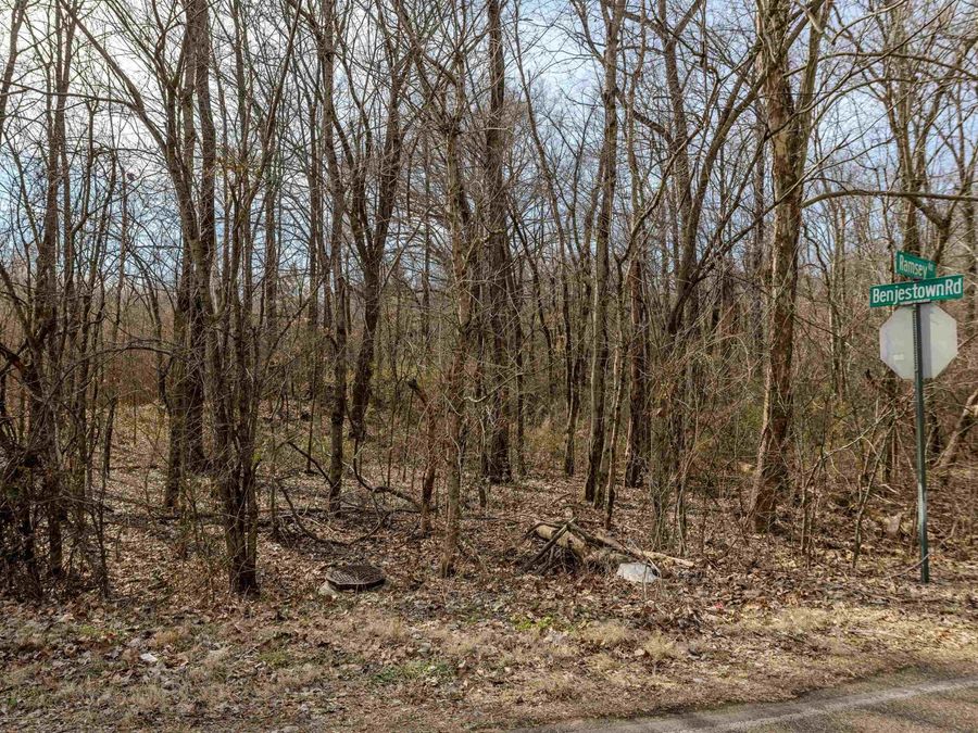 Property Image 8
