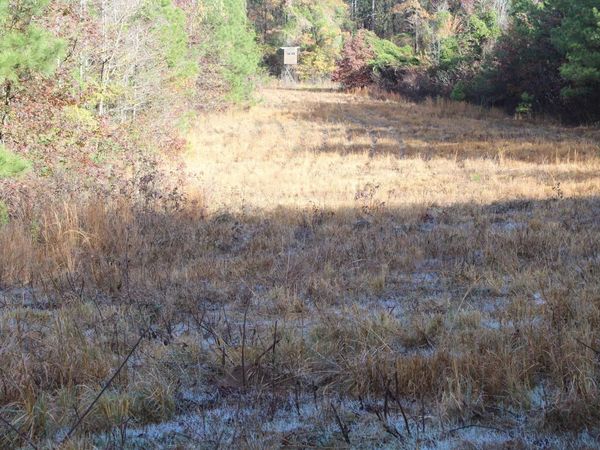 Hickory Grove Rd. , Nashville, AR 71852