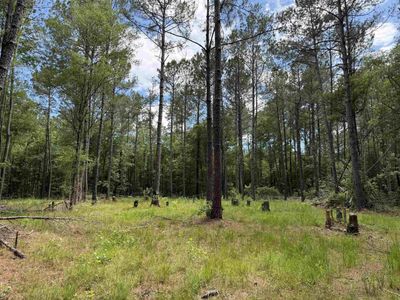 17.8 Acres-5871 Pennyroyal Rd. , Georgetown, SC 29440