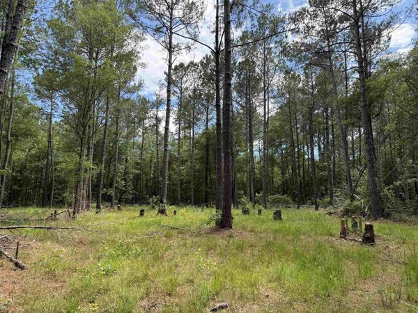 17.8 Acres-5871 Pennyroyal Rd. , Georgetown, SC 29440