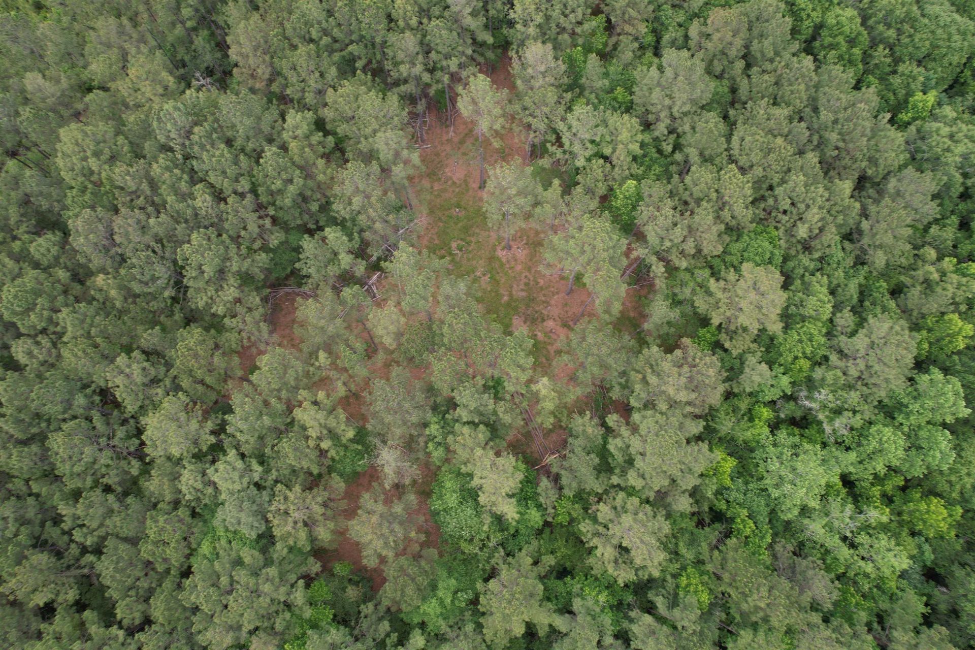 17.8 Acres-5871 Pennyroyal Rd.  Photo 10