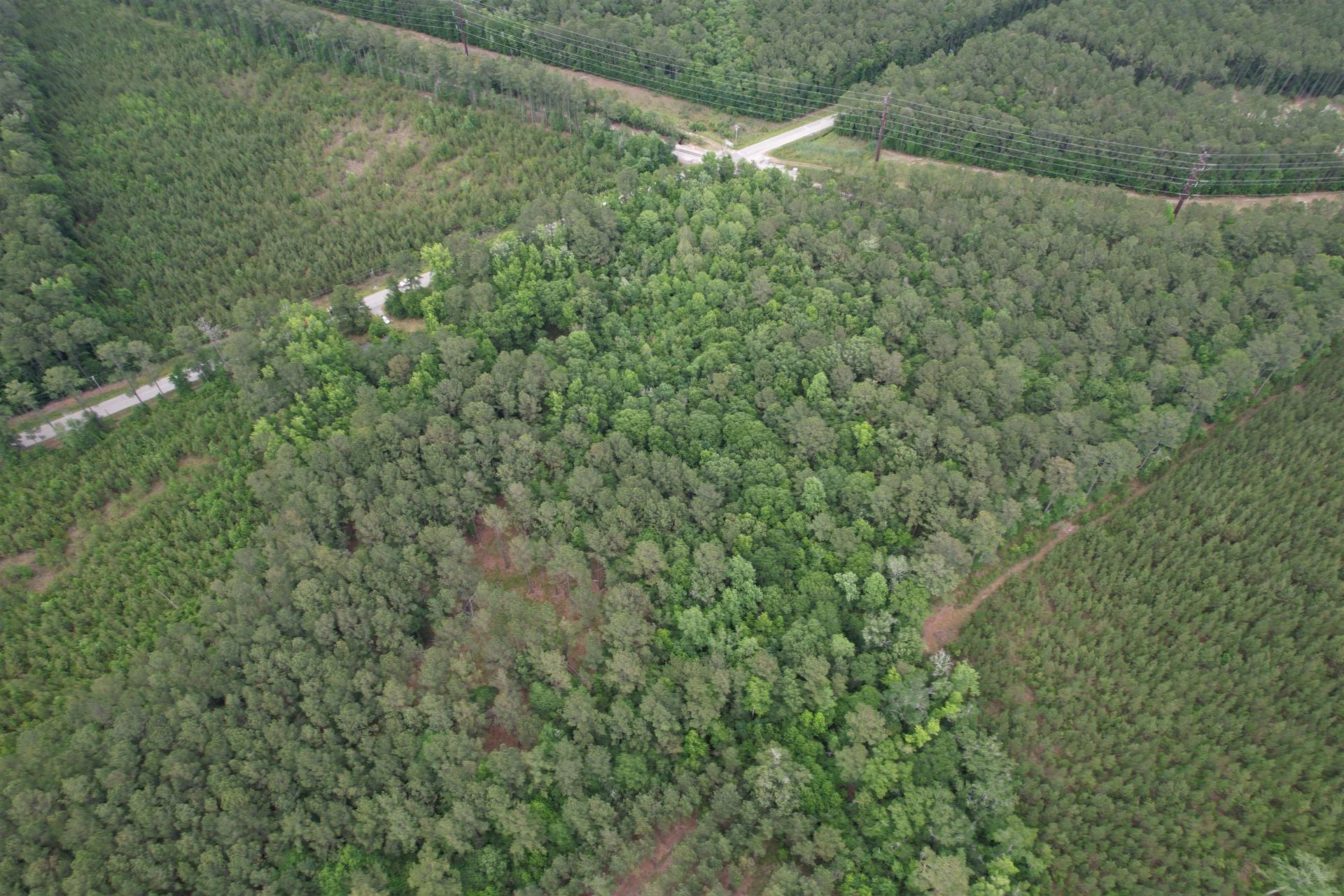 17.8 Acres-5871 Pennyroyal Rd.  Photo 11