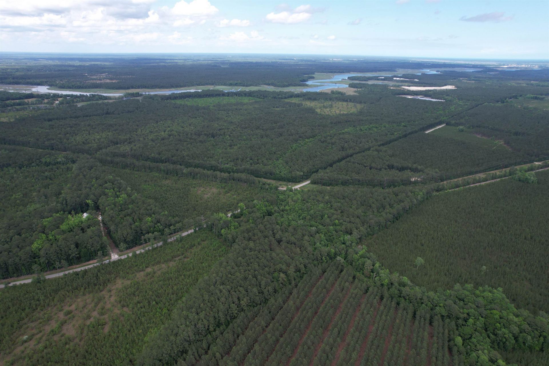 17.8 Acres-5871 Pennyroyal Rd.  Photo 12