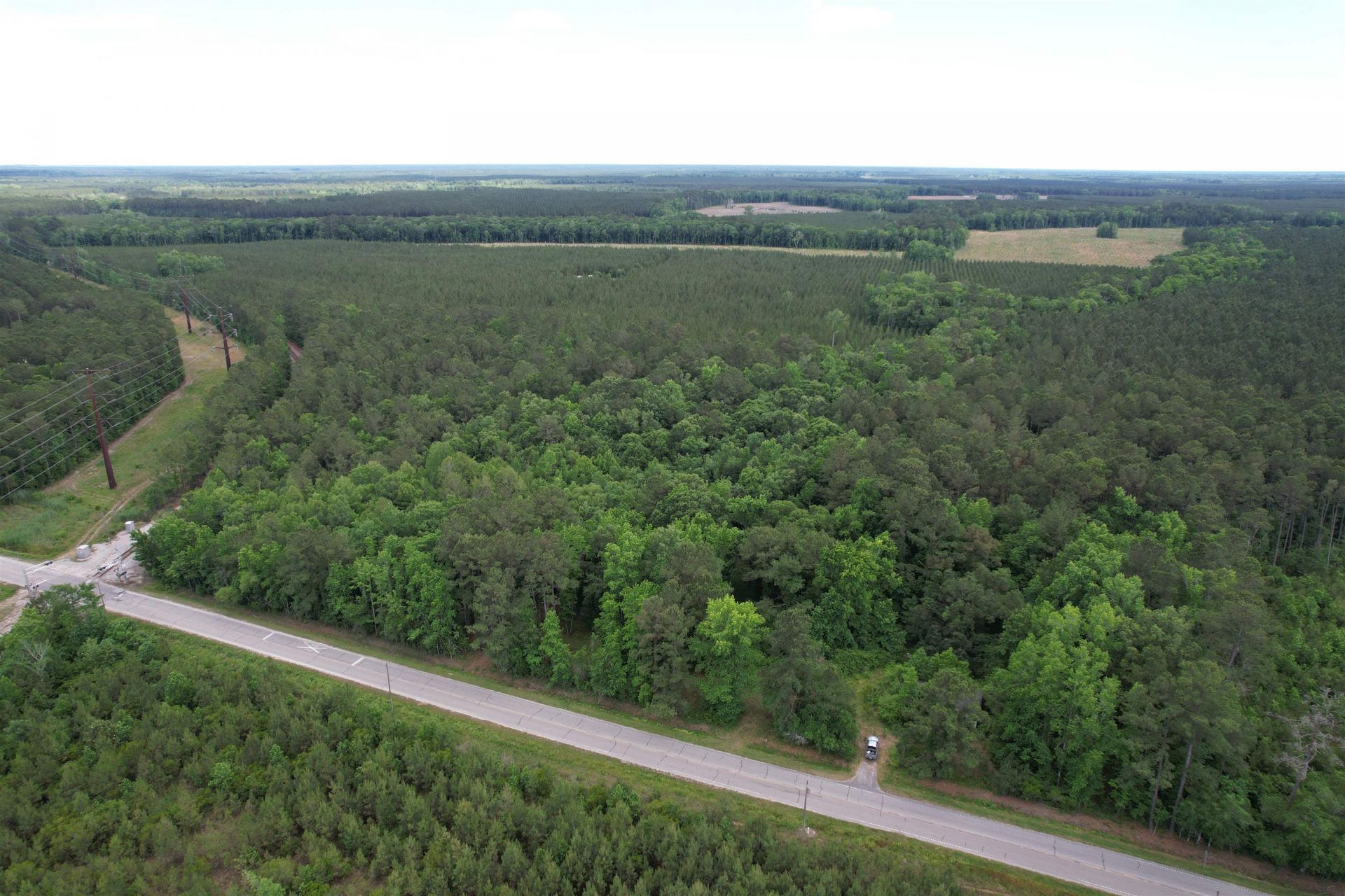 17.8 Acres-5871 Pennyroyal Rd.  Photo 15