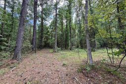 17.8 Acres-5871 Pennyroyal Rd.  photo 4
